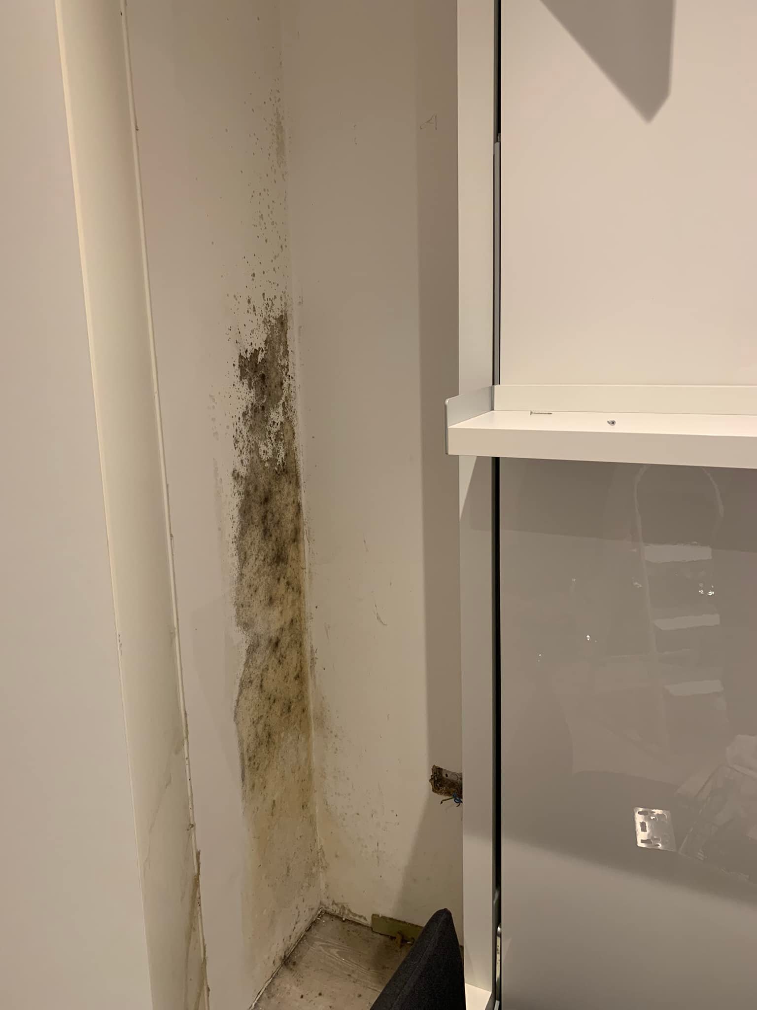 Black mould on a wall behind furniture due to condensation and lack of ventilation